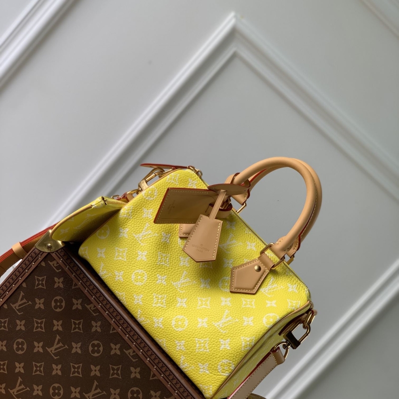 LV Travel Bags